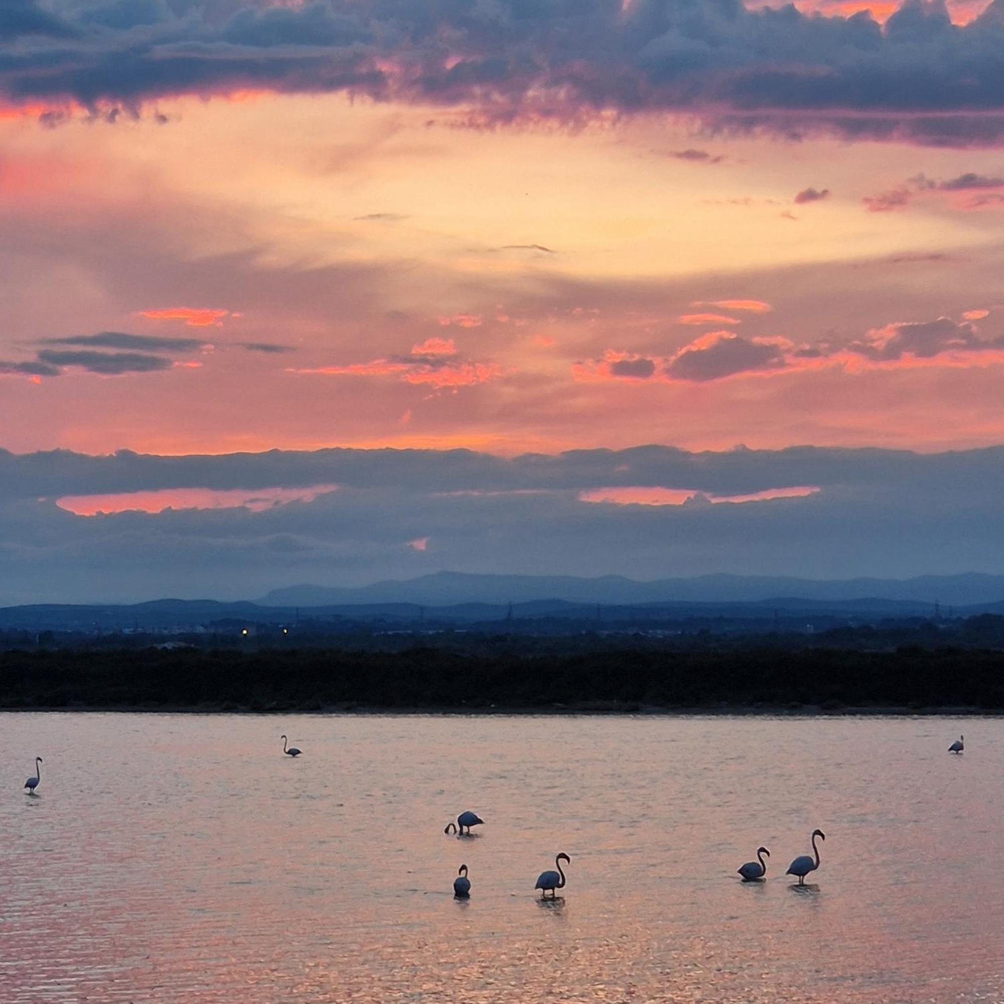 Appartamento Sable & Pampas - Meuble De Tourisme 5 Etoiles Carnon-Plage Esterno foto
