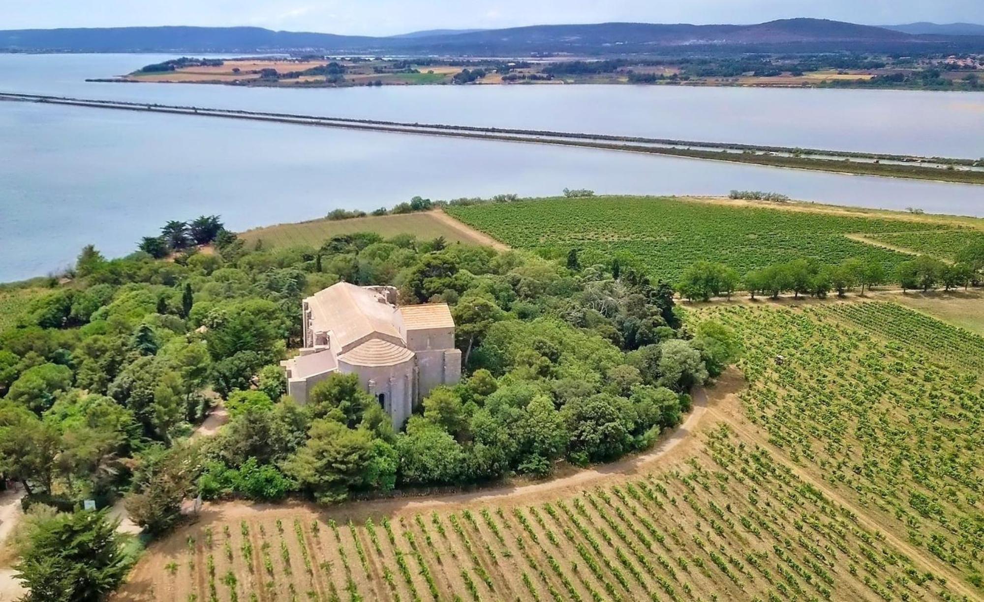 Appartamento Sable & Pampas - Meuble De Tourisme 5 Etoiles Carnon-Plage Esterno foto
