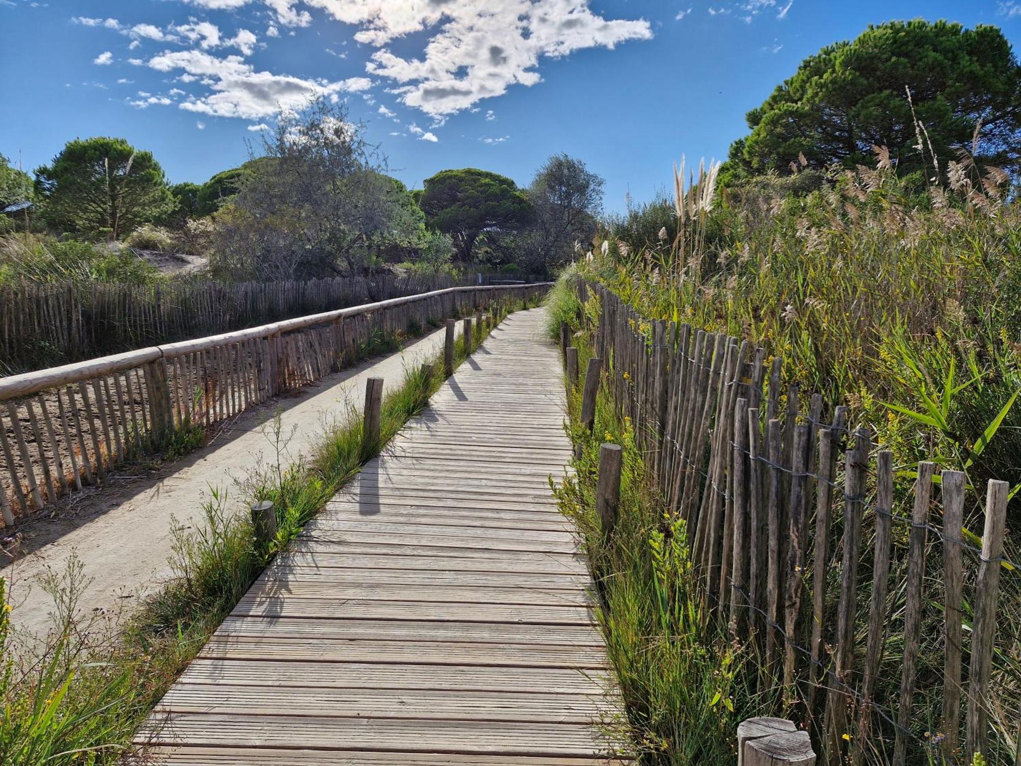 Appartamento Sable & Pampas - Meuble De Tourisme 5 Etoiles Carnon-Plage Esterno foto